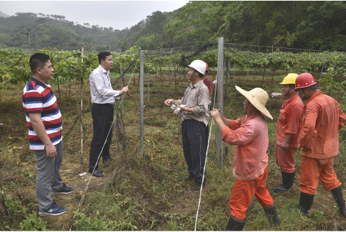 实亿国际(中国)官方网站