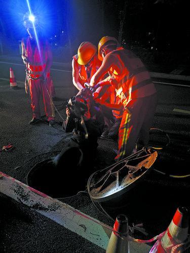 实亿国际(中国)官方网站