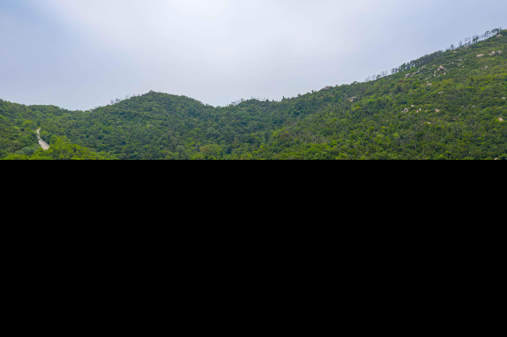 实亿国际(中国)官方网站