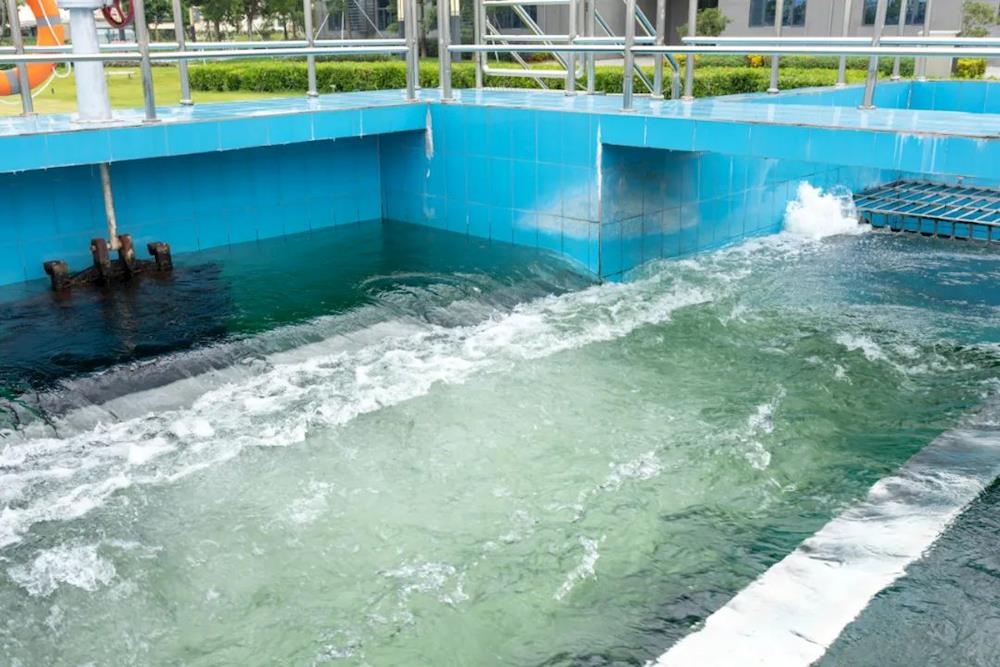 实亿国际(中国)官方网站